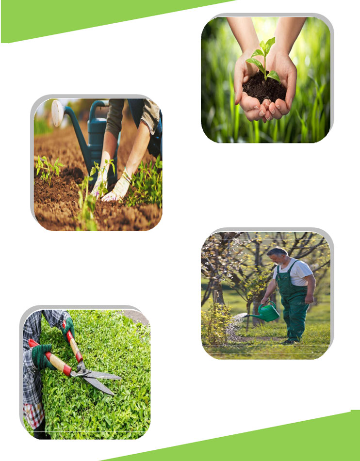 Alternate Manpower Service Pvt Ltd